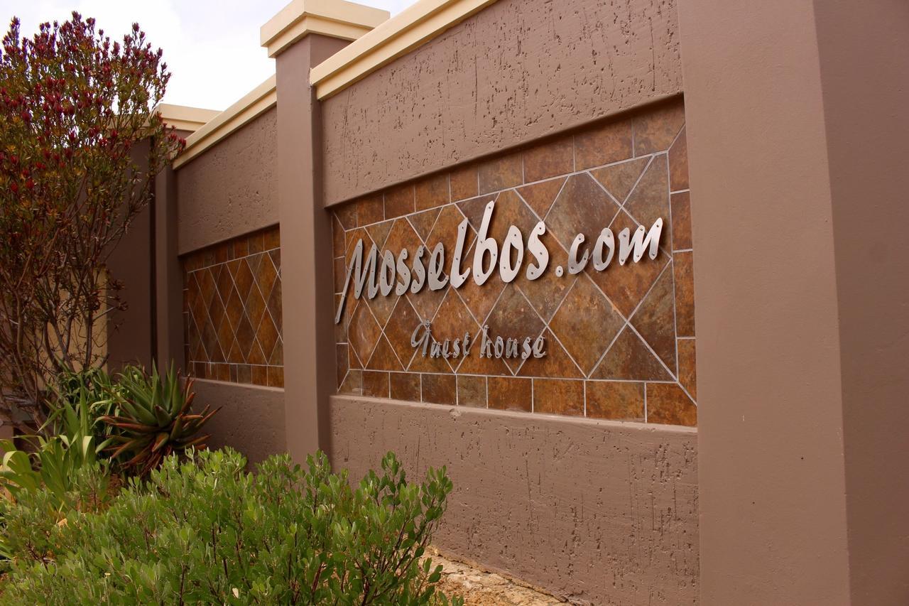 Mosselbos Guesthouse Self-Catering Great Brak River 外观 照片