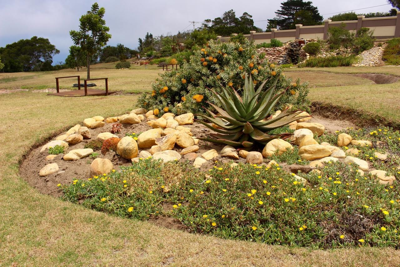 Mosselbos Guesthouse Self-Catering Great Brak River 外观 照片