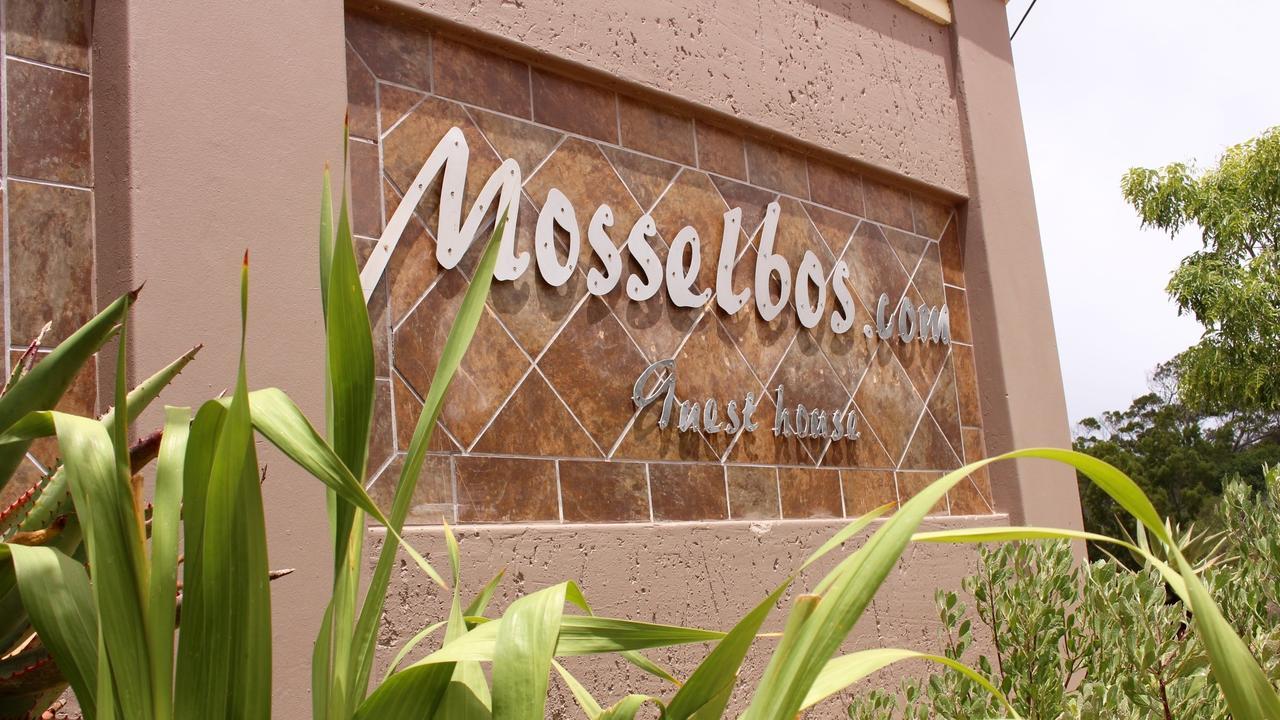 Mosselbos Guesthouse Self-Catering Great Brak River 外观 照片